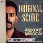 Anand Sreebala BGM (Original Background Score) movie poster