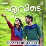 Evidey movie poster