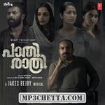 Paathirathri Movie Poster Paathirathri movie poster