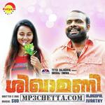 Shikhamani movie poster